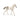 Holsteiner foal (Bundle)