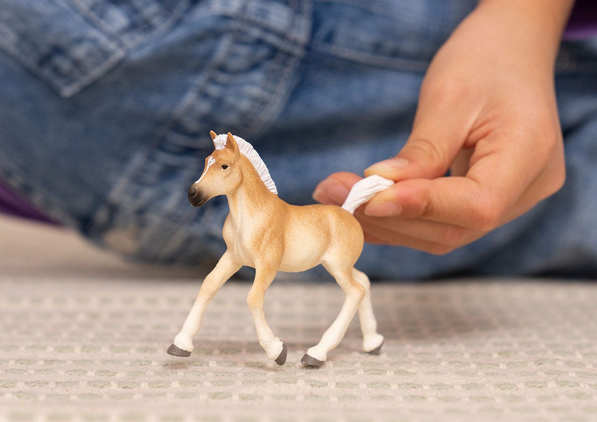 Haflinger Foal