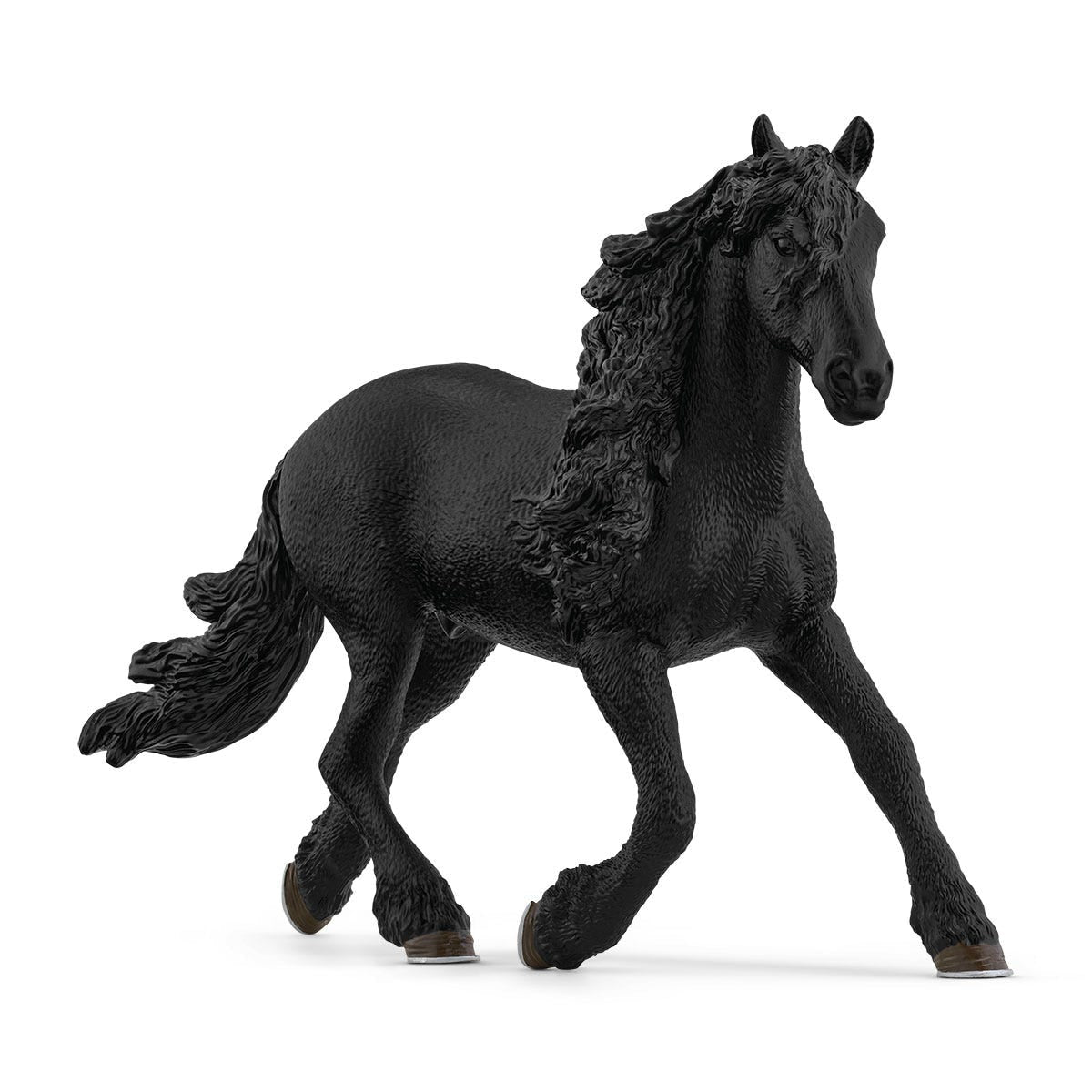 Friesian Stallion