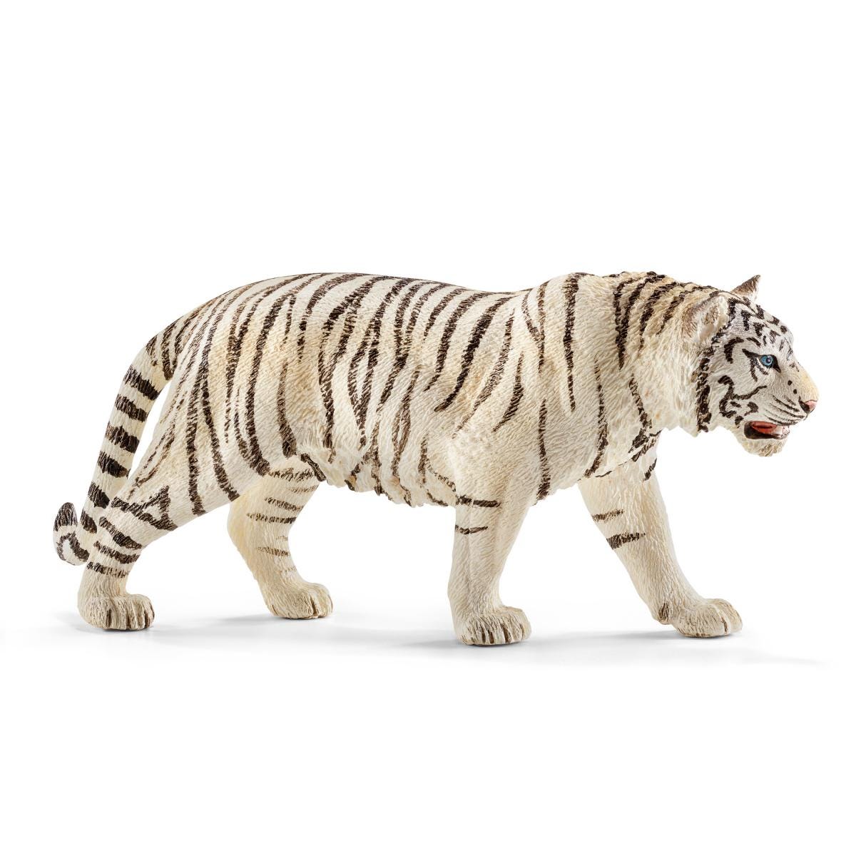 Tiger, white