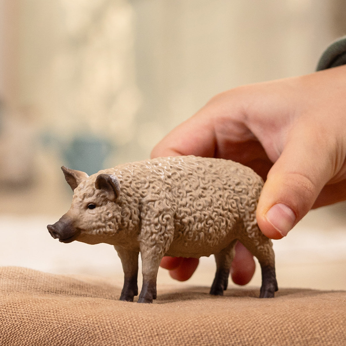 Mangalica Pig