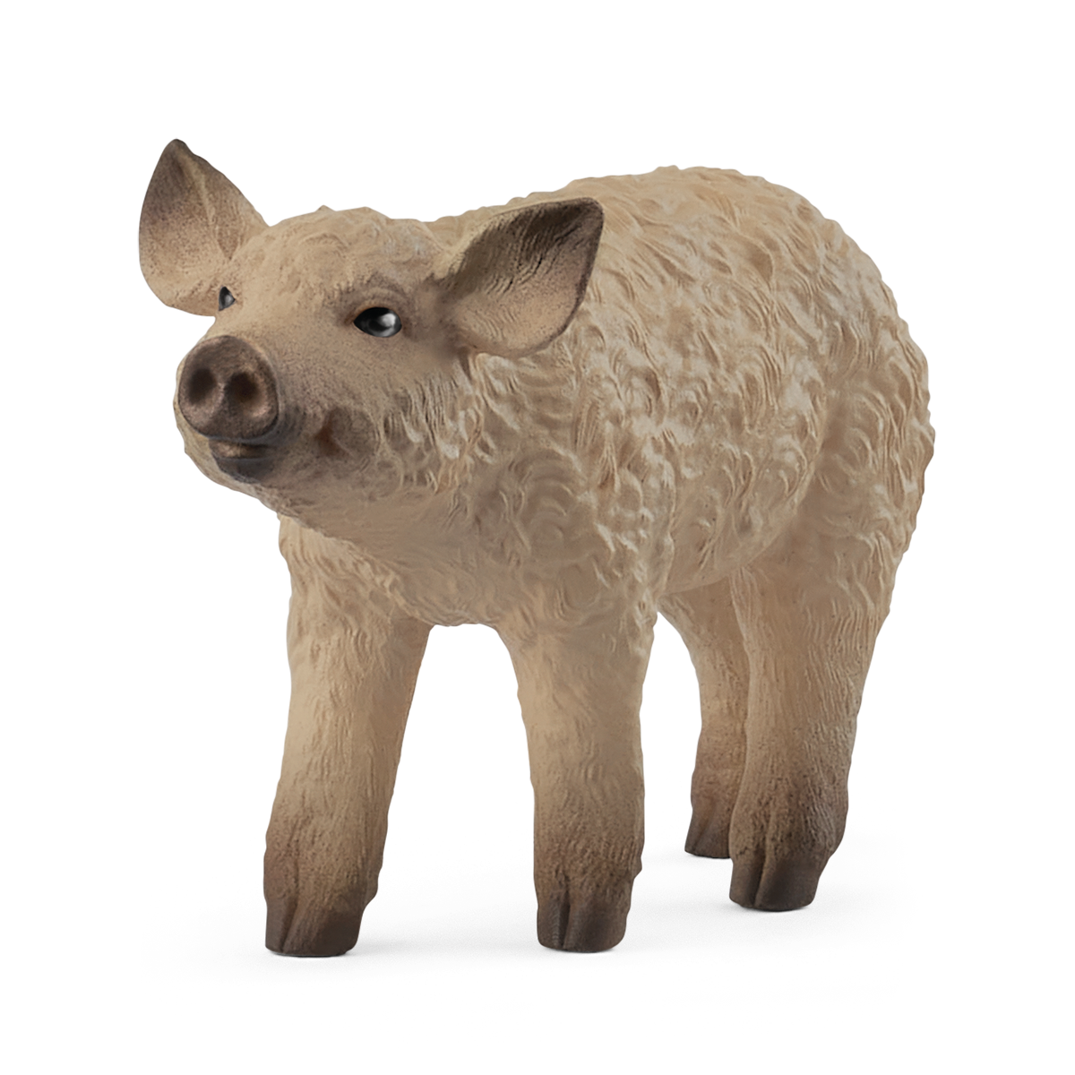 Mangalica Piglet