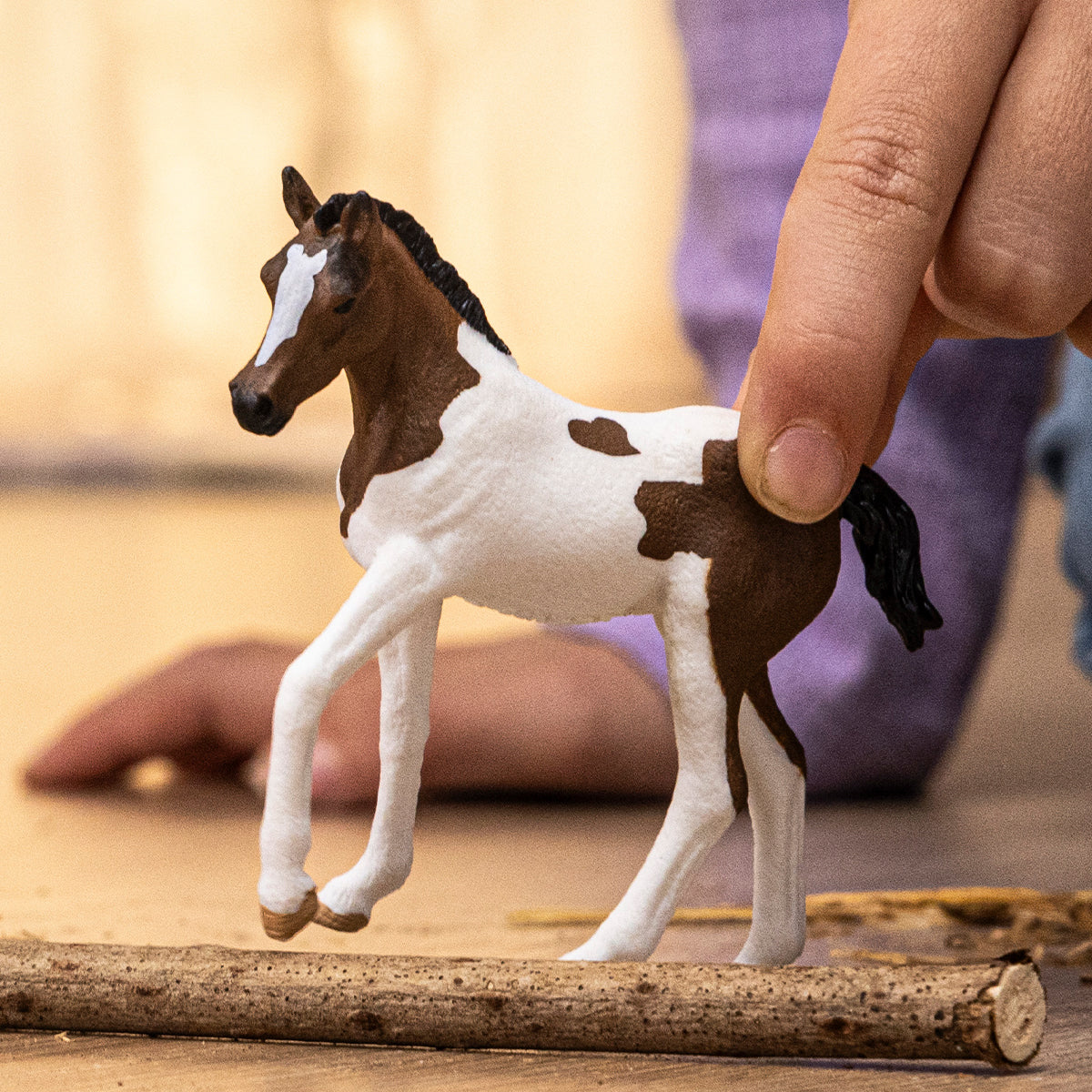 Hříbě paint horse