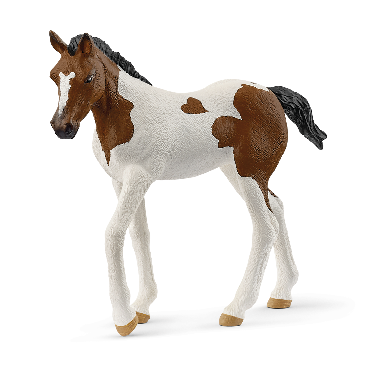 Hříbě paint horse