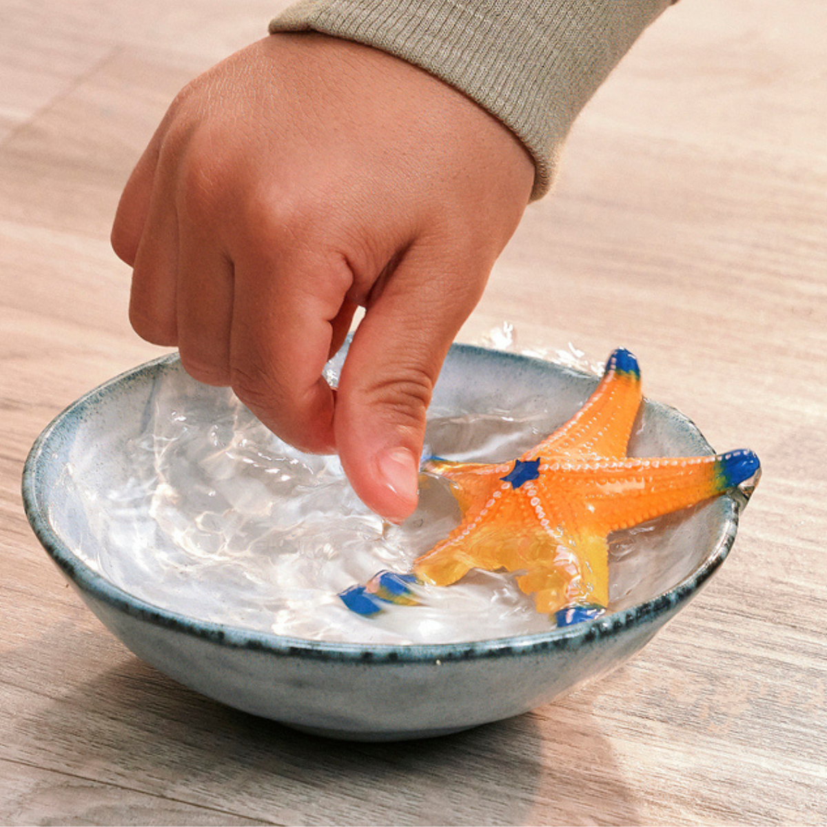 Starfish with color change