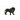 Black Lion, roaring