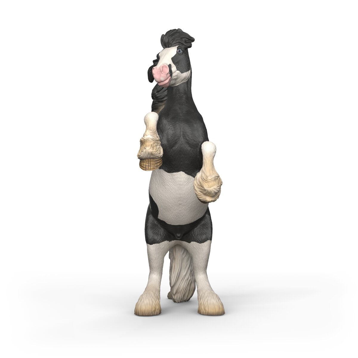 Thunder, Tinker Gelding 1:12