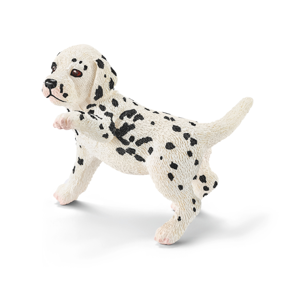 Dalmatian puppy (bundle)