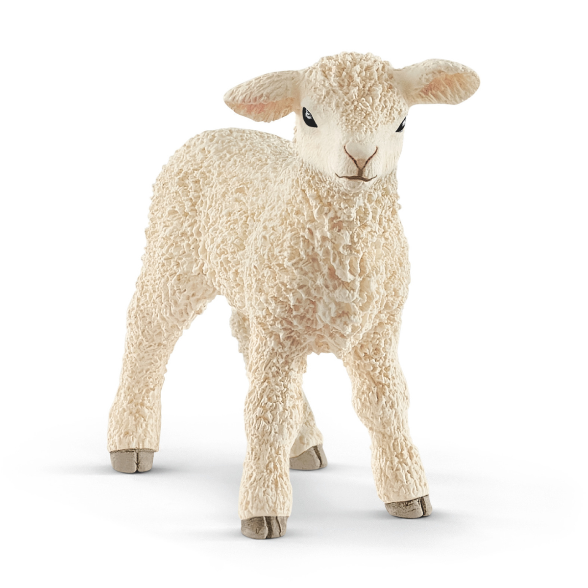 Lamb (bundle)